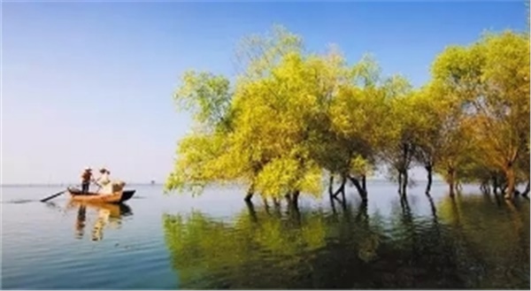 春暖花開南洞庭踏青、云夢七色花洲一日游  