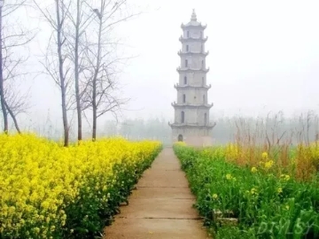 春暖花開南洞庭踏青、云夢七色花洲一日游  