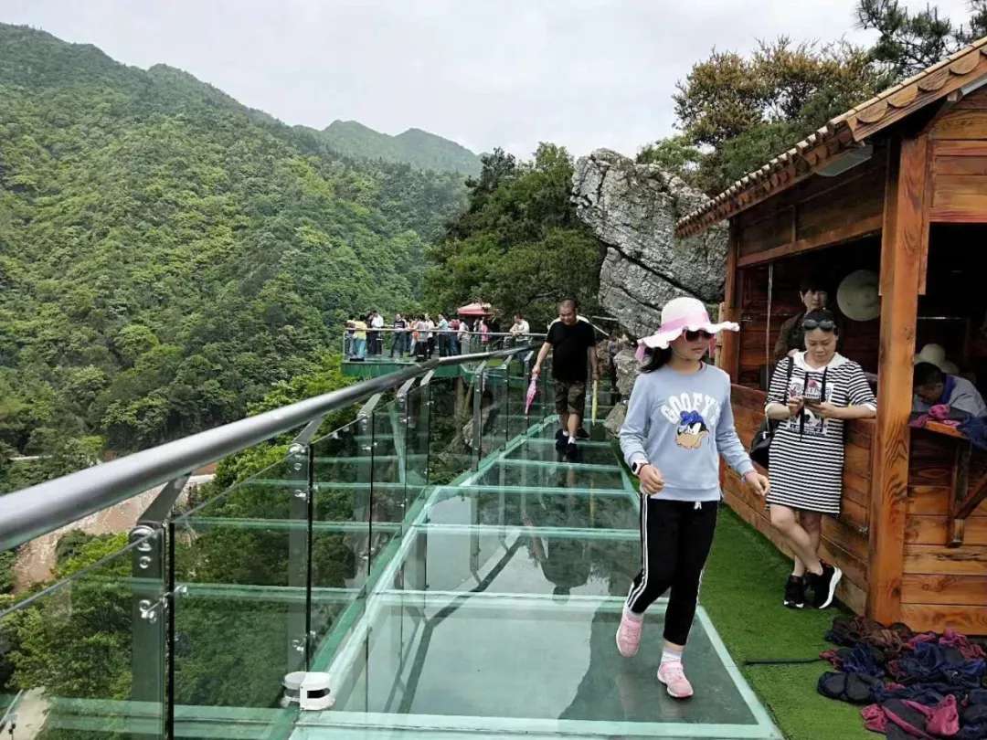 益陽安化?天下茶道、云臺(tái)山、茶香花海2日游