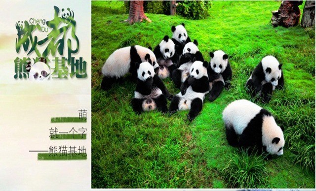 長(zhǎng)沙、成都雙飛6天