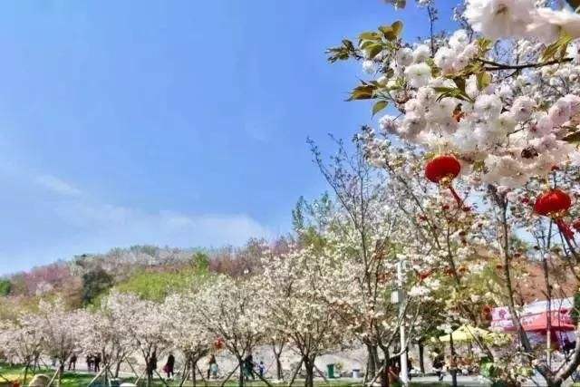 長沙潯龍河櫻花谷、田漢文化園一日游