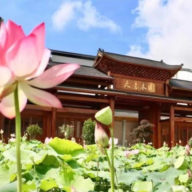 益陽(yáng)天意木國(guó)木文化博物館、金家堤、一碑五館一日游