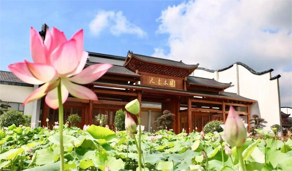 清溪村、天意木國(guó)景區(qū)、明清古巷、市博物館、胡林翼故居二日游